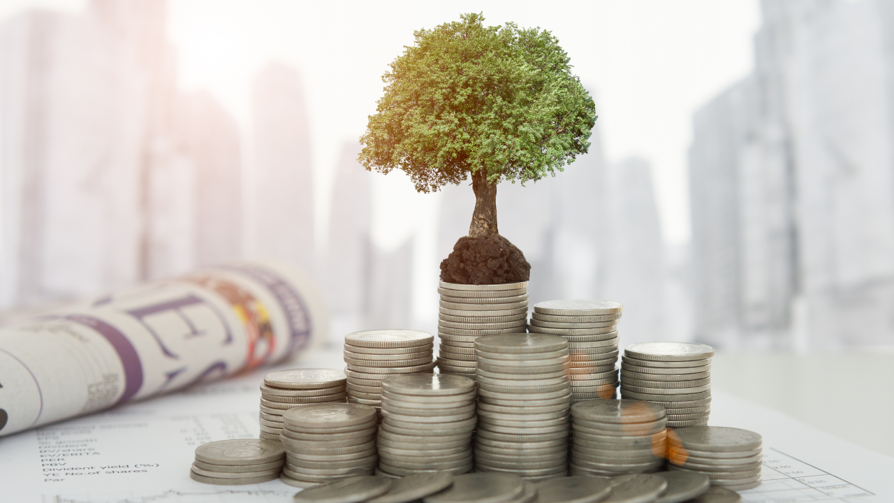 A tree sprouting on top of an investment | Scott Legal, P.C. A tree sprouting on top of an investment