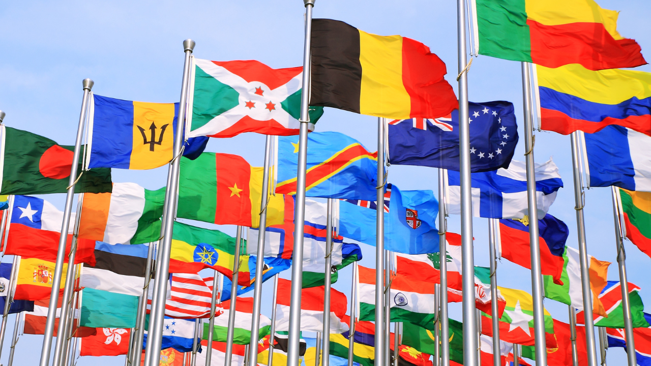 A collection of country flags | Scott Legal, P.C. A collection of country flags