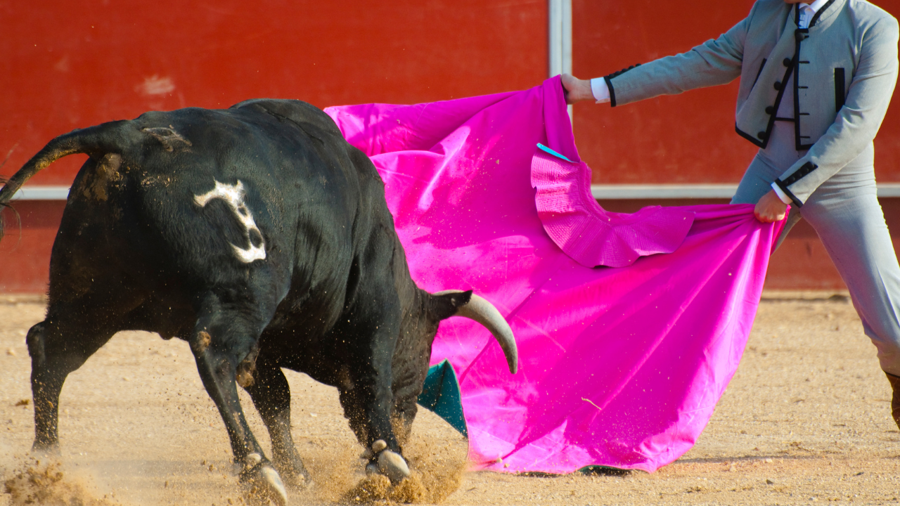 Bull Fighter | Scott Legal, P.C. Bull Fighter