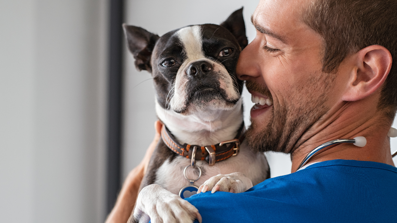 A healthy pet and vet