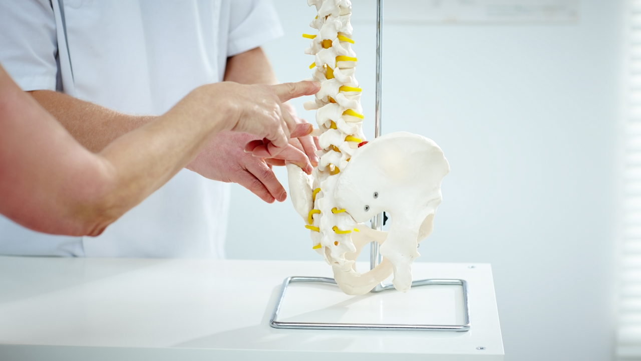 Chiropractic and Health Clinic | Scott Legal, P.C. Chiropractic and Health Clinic