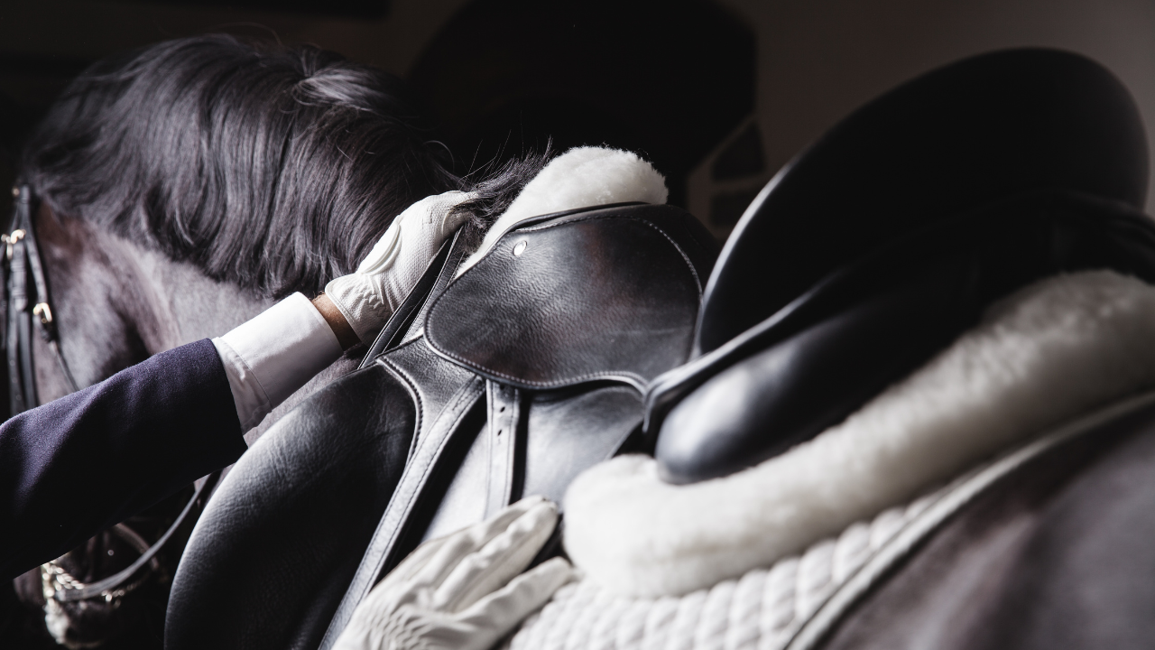 Equestrian Services